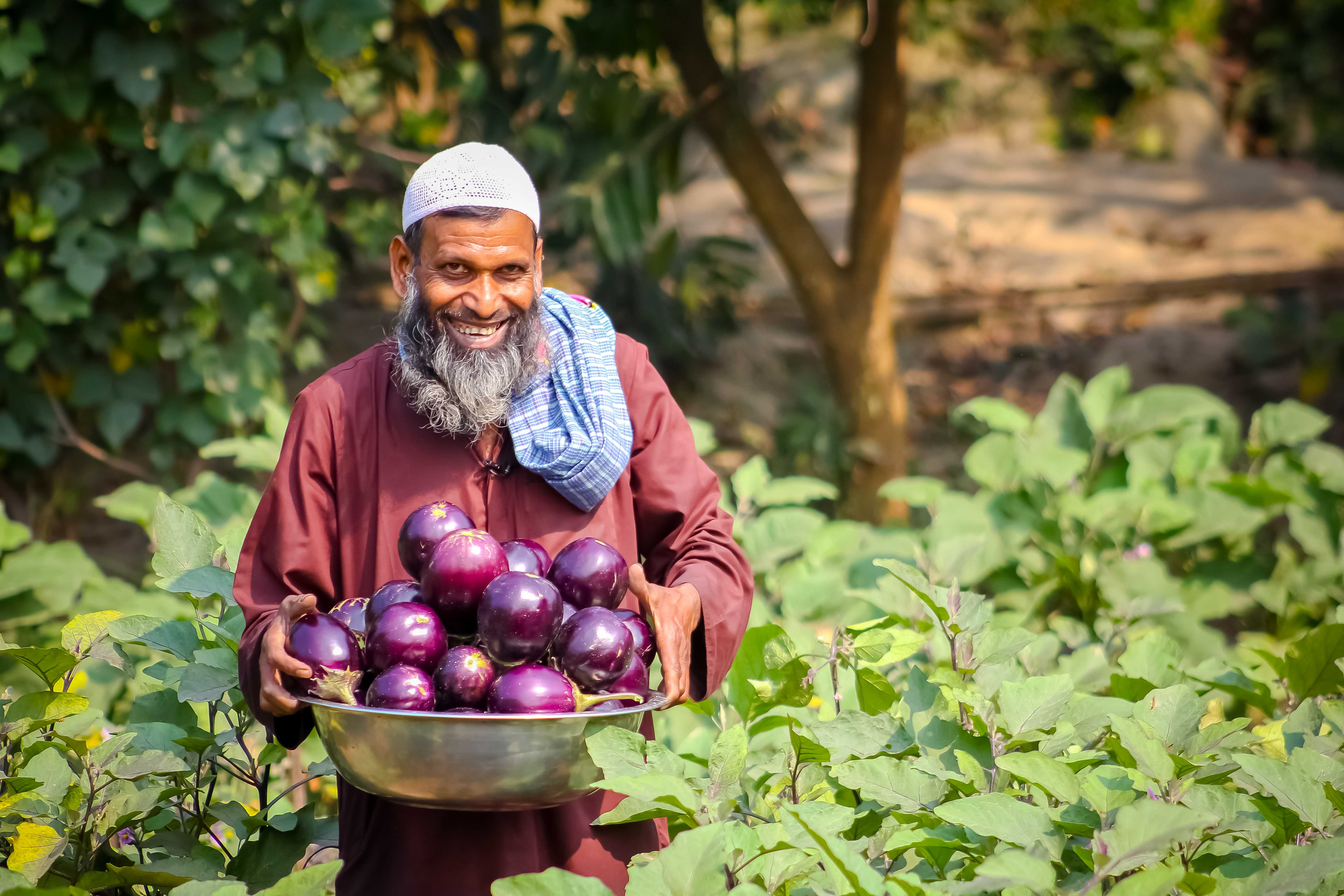 Bt brinjal farmer Khalilur Rahman from Bangladesh by Arif Hossain